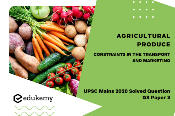 Premium Hybrid Carrot Seeds